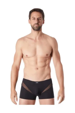 Boxer Noir Sexy Wave Fine Résille En V -L’Éveil Sensuel Soldes boxer noir sexy wave fine resille en v 3