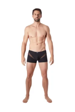 Boxer Noir Sexy Wave Fine Résille En V -L’Éveil Sensuel Soldes boxer noir sexy wave fine resille en v 5