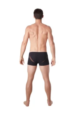 Boxer Noir Sexy Wave Fine Résille En V -L’Éveil Sensuel Soldes boxer noir sexy wave fine resille en v 6