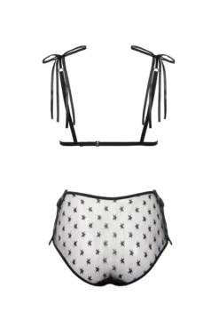 Ensemble Culotte Haute Transparente Amelie -L’Éveil Sensuel Soldes ensemble culotte haute transparente amelie 3